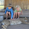 Petting the cheetahs!